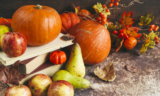 The Best Organic Foods for The Fall